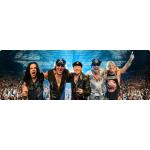 16-11-2017 - MCS Marketing - SCORPIONS - banner.jpg